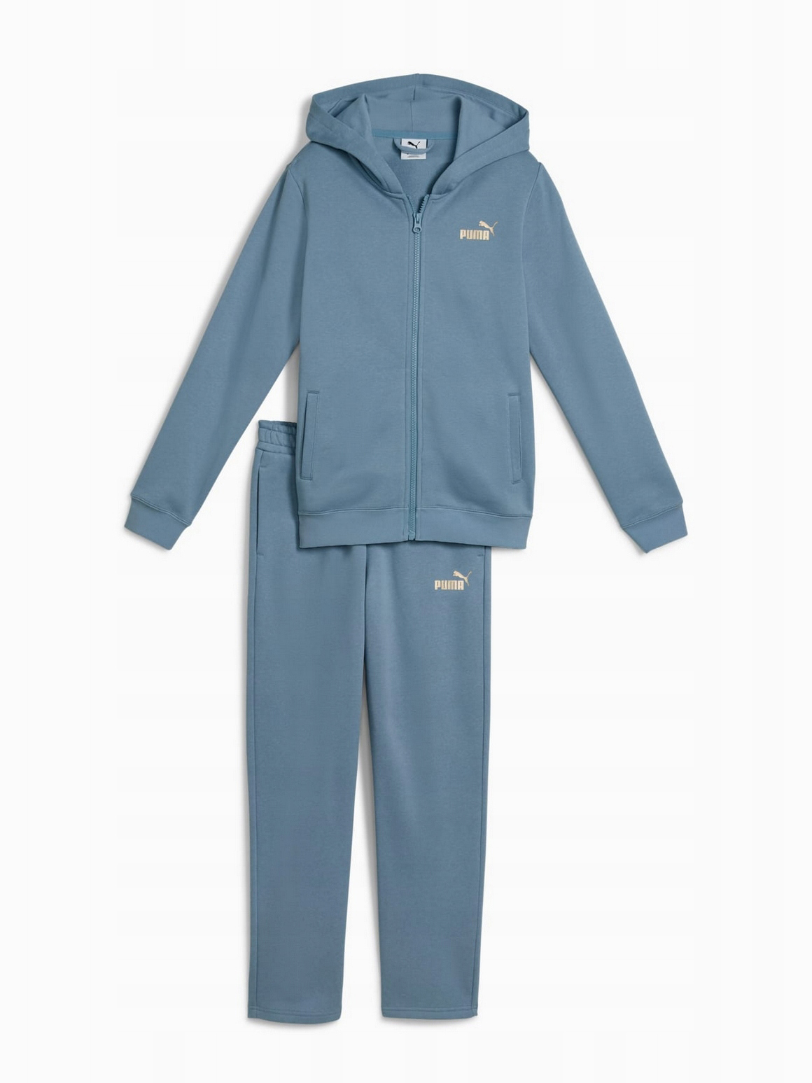 Костюм детский Puma Metallic Hooded Sweat Suit FL G синий