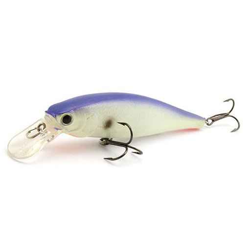 261 table rock shad