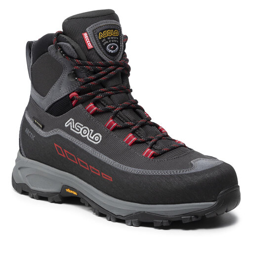 Ботинки мужские Asolo Arctic GV MM